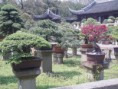 /album/galeria-de-fotos/suzhou4-1-jpg/